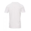v-neck (2).jpg